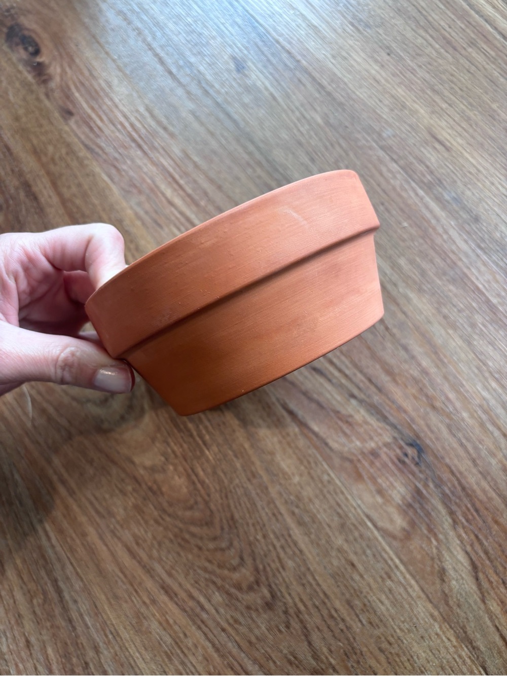 Small plant pot